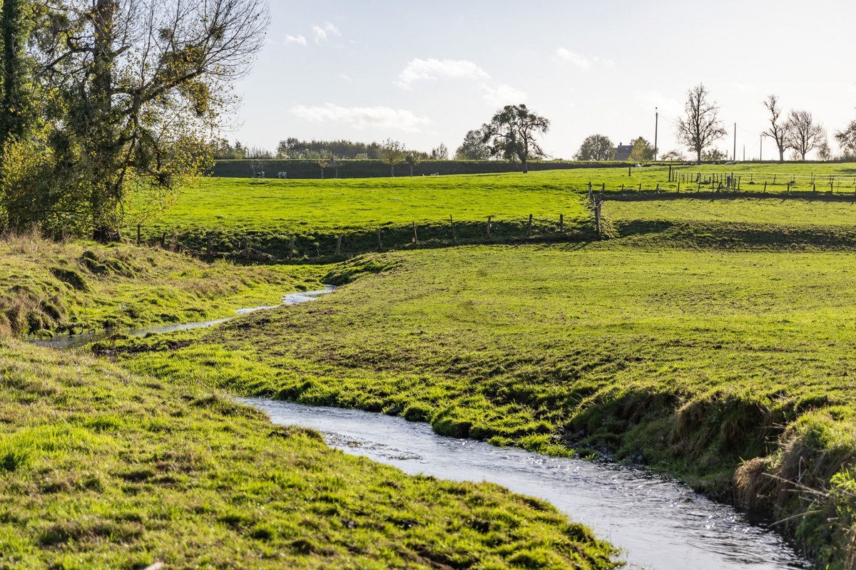 Foto: Voerstreek