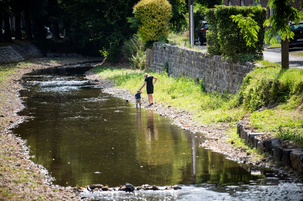 Foto kwaliteit waterloop